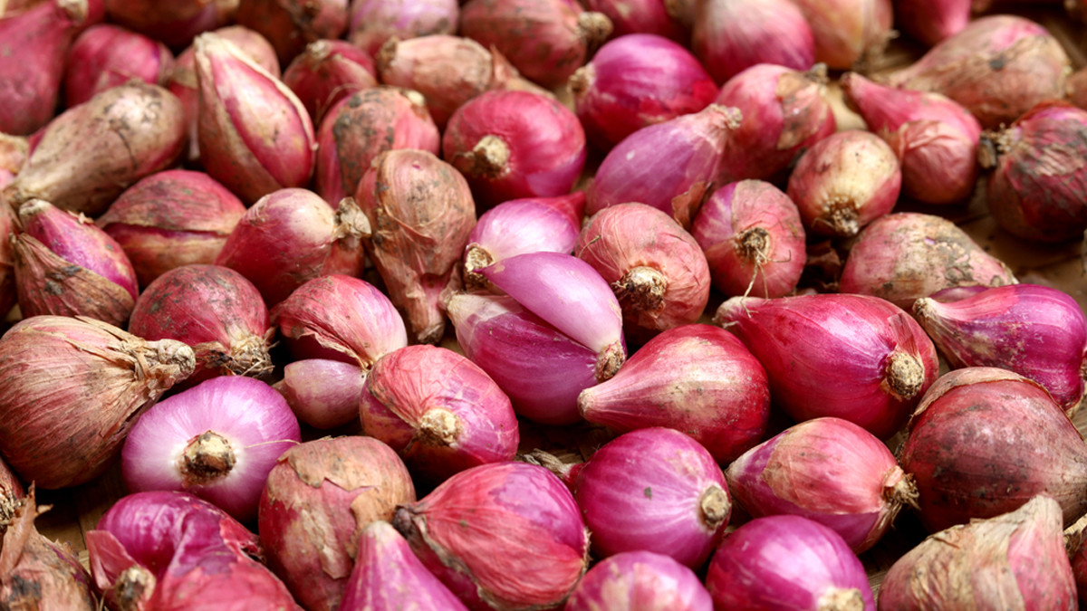 Paket Eatsambel Favorit Mas Yangun